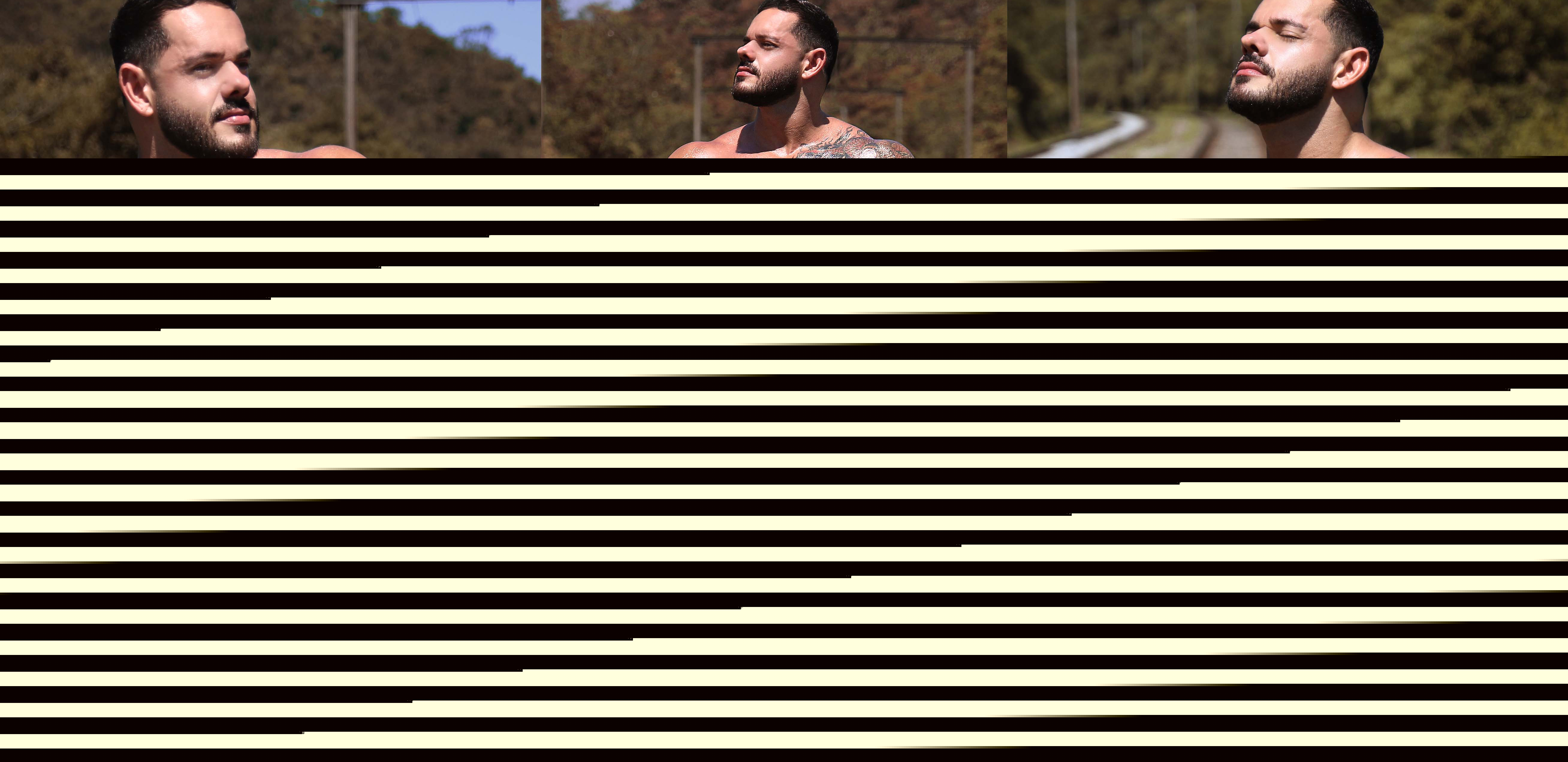 Thiago Fênix